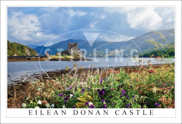 Eilean Donan Castle, Floral foreground Postcard