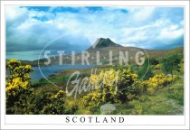 Stac Pollaidh, Scotland Postcard