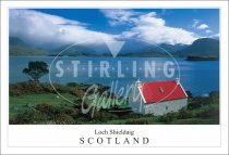 Loch Shieldaig - Scotland, Cottage to Torridon Postcard (H SG)