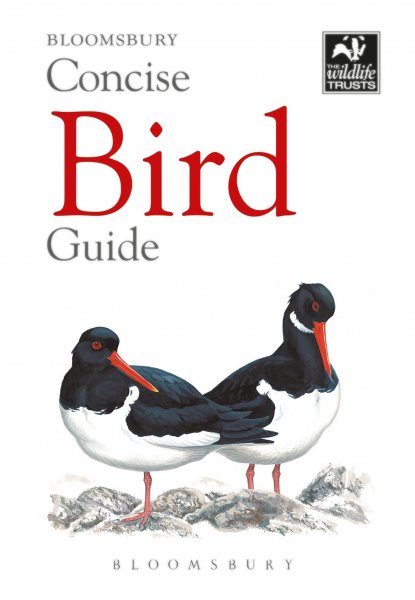 Concise Bird Guide (Mar22)