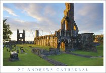 St Andrews Cathedral Postcard