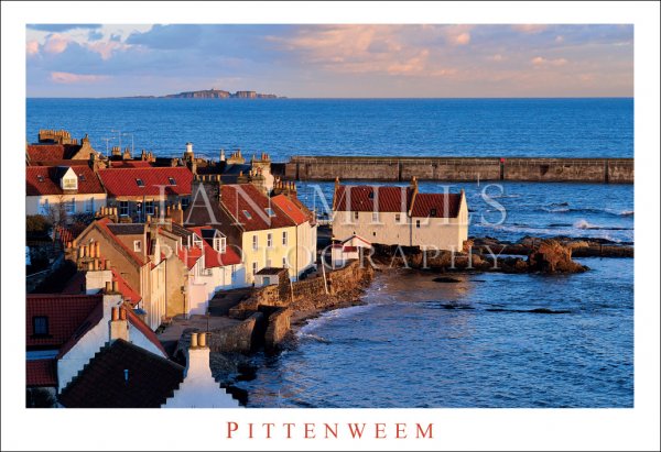 Pittenweem, West Shore Across to Isle of May Postcard