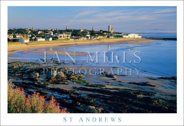 St Andrews, East Sands From Kinkell Braes Postcard