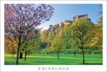 Edinburgh - Castle from Gardens in Blossom Postcard