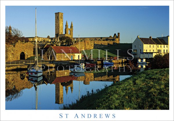 St Andrews, Cathedral Ruins From Harbour Waters Postcard
