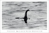 Nessie, the Loch Ness Monster, Sugeons Photo Postcard
