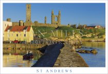 St Andrews, Cathedral From Harbour Postcard