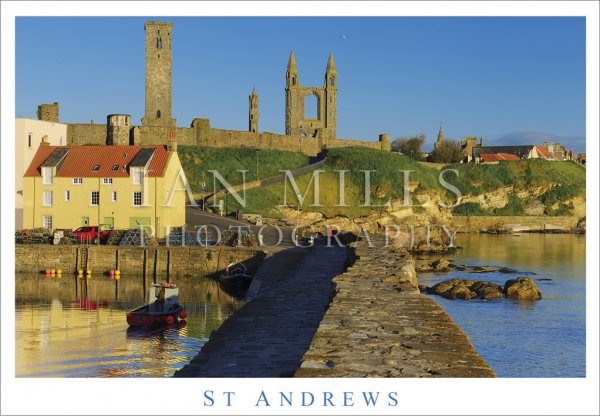 St Andrews, Cathedral From Harbour Postcard
