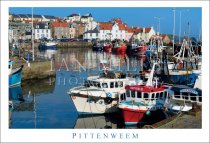 Pittenweem, Harbour & Town Postcard