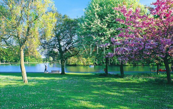 Kirkcaldy, Beveridge Park Postcard