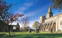 Dunfermline Abbey - Side View Postcard