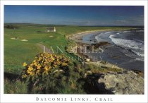 Crail, Balcomie Links Postcard