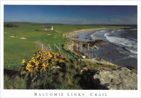 Crail, Balcomie Links Postcard