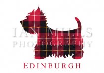 Edinburgh Tartan Westie Silhouette Magnet