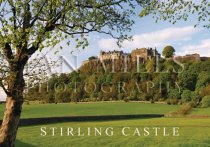 Stirling Castle, Spring, Tree Magnet