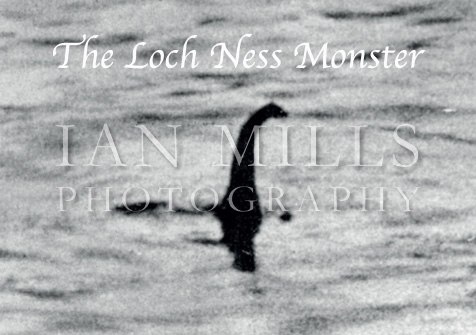 Loch Ness Monster, Surgeon's Photo Magnet