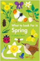 What to Look for in Spring