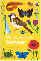 What to Look for in Summer