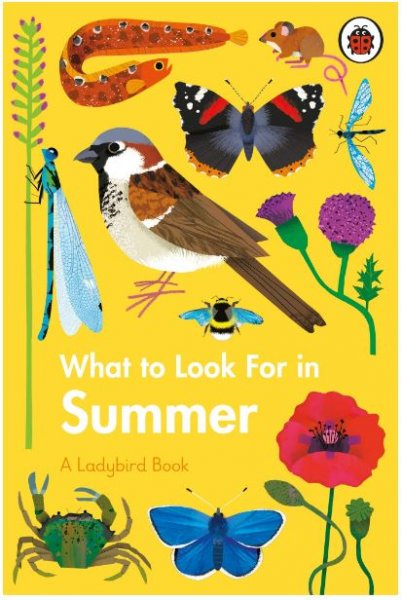 What to Look for in Summer