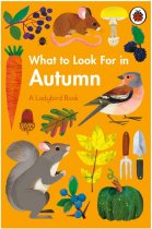 What to Look for in Autumn
