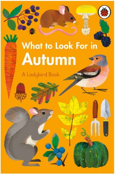 What to Look for in Autumn