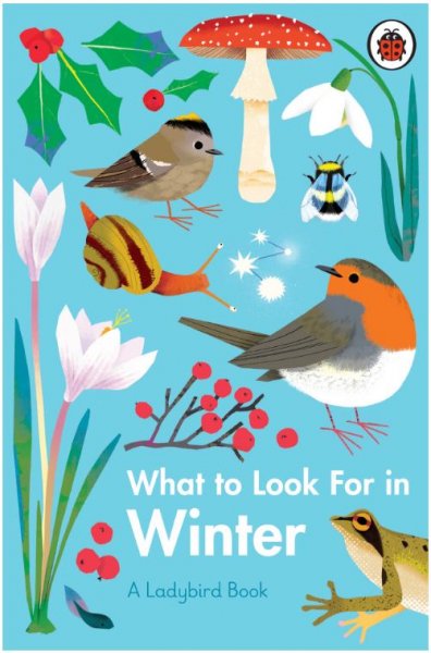 What to Look for in Winter (Ladybird)