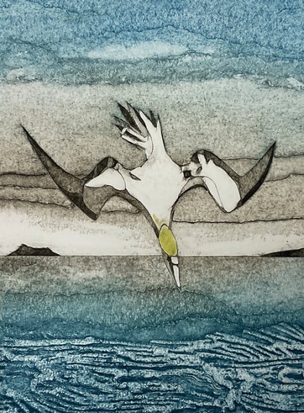 zz Notebook Wild Birds Ganet