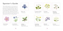 Little Guide to Wildflowers, The
