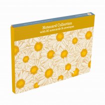 Notecard Collect Hazy Daisies (Feb)