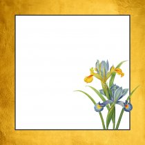 Noteblock Redoute (Feb)