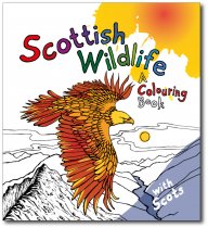 Scottish Wildlife: A Colouring Book with Scots