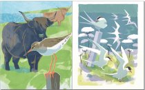 Community: People & Wildlife on the West Coast of Scotland (Jun)