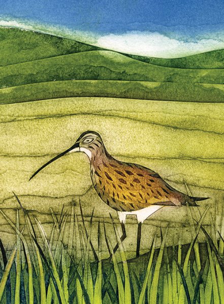 Notebook Wild Birds Curlew