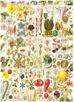Jigsaw RHS Botanical Bliss 1000pc