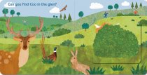 Peekaboo Coo Lift the Flap Board Book (May)