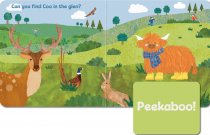 Peekaboo Coo Lift the Flap Board Book (May)