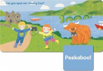 Peekaboo Coo Lift the Flap Board Book