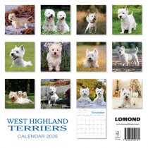 2026 Calendar West Highland Terriers