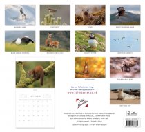 2026 Calendar Scottish Wildlife