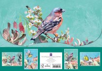 Notecard Collection Symphony