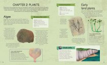 Fossil Hunter Handbook, The