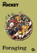 Pocket Foraging, The