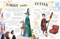 Pocket Potters: Harry Potter