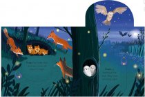 Big Outdoors for Little Explorers: Woods