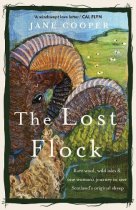Lost Flock, The