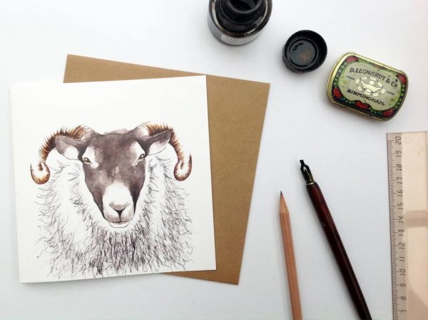 Clare Baird Greetings Cards