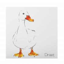 Drake Greetings Card