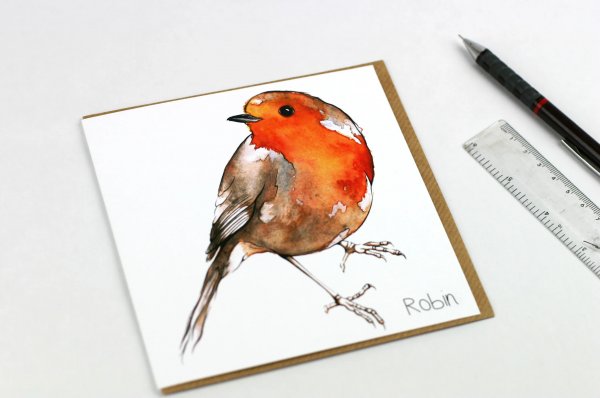 Robin Greetings Card