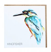 Kingfisher Greetings Card