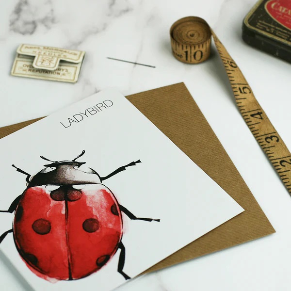 Ladybird Greetings Card